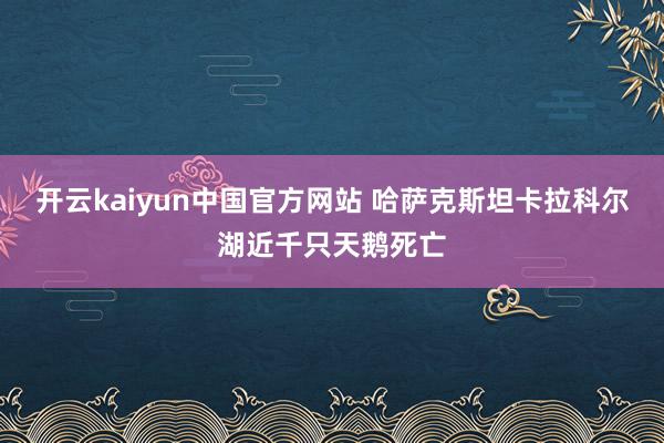 开云kaiyun中国官方网站 哈萨克斯坦卡拉科尔湖近千只天鹅死亡