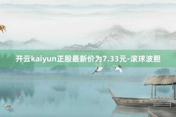 开云kaiyun正股最新价为7.33元-滚球波胆