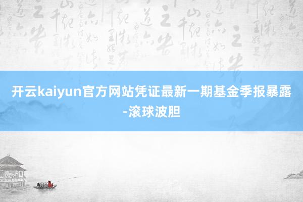 开云kaiyun官方网站凭证最新一期基金季报暴露-滚球波胆