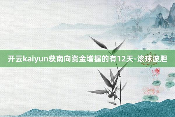 开云kaiyun获南向资金增握的有12天-滚球波胆