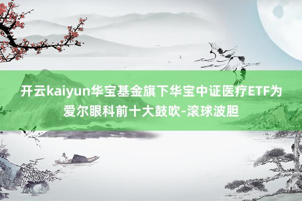 开云kaiyun华宝基金旗下华宝中证医疗ETF为爱尔眼科前十大鼓吹-滚球波胆